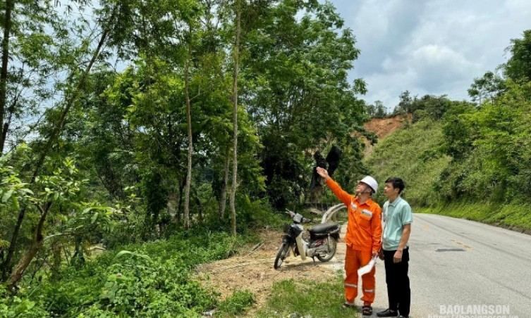 Ngăn chặn người dân trồng cây vi phạm an toàn hành lang lưới điện: Tập trung tuyên truyền để thay đổi