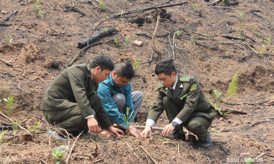 Nỗ lực đẩy nhanh tiến độ thực hiện dự án phát triển kinh tế nông, lâm nghiệp