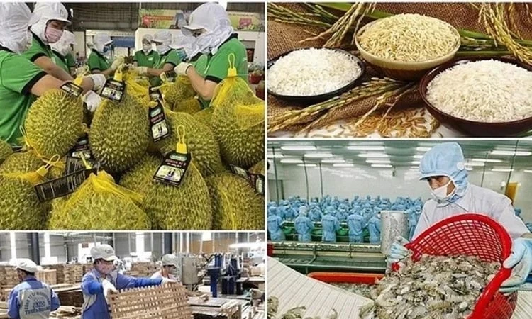 Cần nghiên cứu kỹ thị trường khi xuất khẩu sang EU