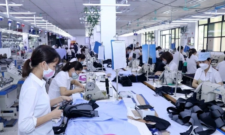 Liều thuốc mạnh đặc trị "bệnh” trốn đóng bảo hiểm xã hội