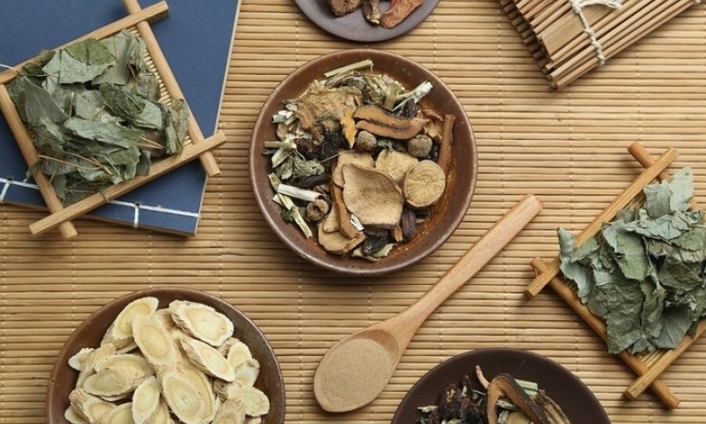 Bài thuốc chữa mất ngủ từ thảo dược quanh nhà