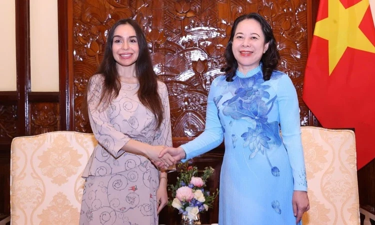 Phó Chủ tịch nước Võ Thị Ánh Xuân tiếp Phó Chủ tịch Quỹ Heydar Aliyev
