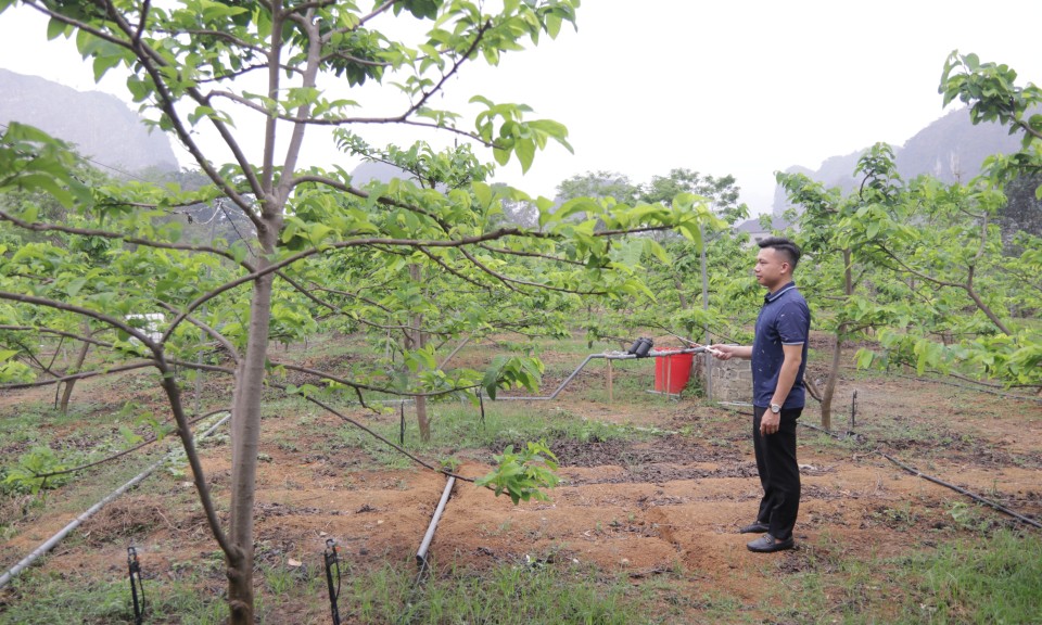 Phát triển hợp tác xã: Bước tiến từ chuyển đổi số