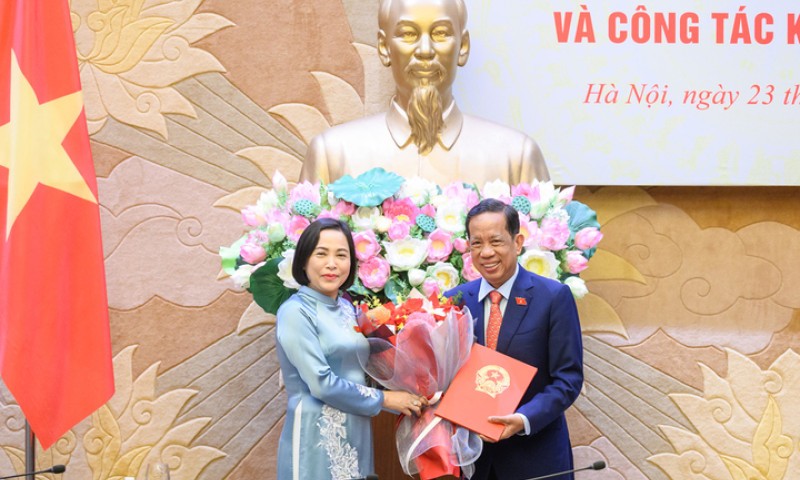 Một Phó Chủ nhiệm Ủy ban của Quốc hội xin nghỉ hưu trước tuổi