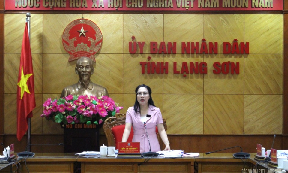 Ban Pháp chế HĐND tỉnh thẩm tra một số nội dung trình kỳ họp chuyên đề