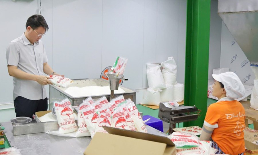Hàng trăm tấn mì chính, hạt nêm giả được bán cho các bếp ăn tại khu công nghiệp