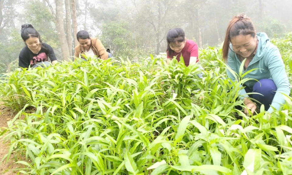 Niềm vui của những hộ gia đình nghèo trên biên giới