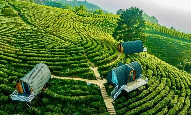 Sẵn sàng đón khách dịp nghỉ lễ