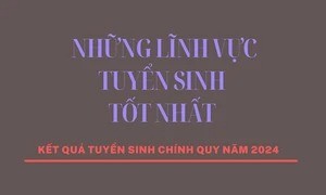 [Infographic] Những lĩnh vực tuyển sinh tốt nhất năm 2024