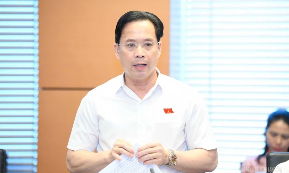 Đại biểu Quốc hội tỉnh góp ý vào dự án Luật Tổ chức chính quyền địa phương (sửa đổi) và dự án Luật Cán