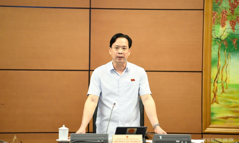 Đại biểu Quốc hội tỉnh tham gia thảo luận về một số dự thảo luật