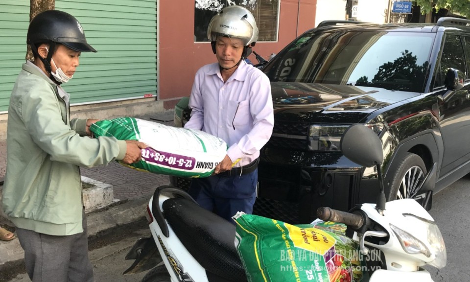 Giá các vật tư phân bón có xu hướng tăng nhẹ