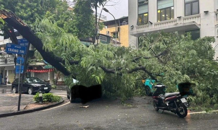 Cây đổ trúng 3 ô tô trên phố Tràng Thi, Hà Nội