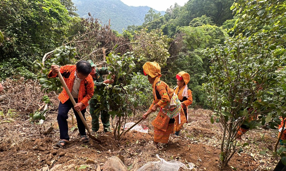 Gieo sinh kế, ấm biên cương