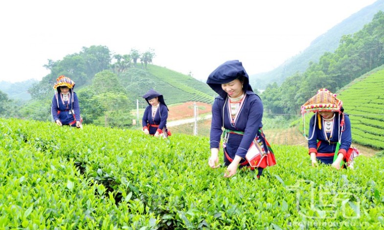 Khẩn trương sửa đổi tiêu chí phân bổ vốn Chương trình MTQG phát triển KT-XH vùng dân tộc thiểu số, miền