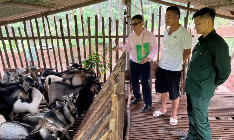 Tổ chức cựu chiến binh thích ứng sau sắp xếp