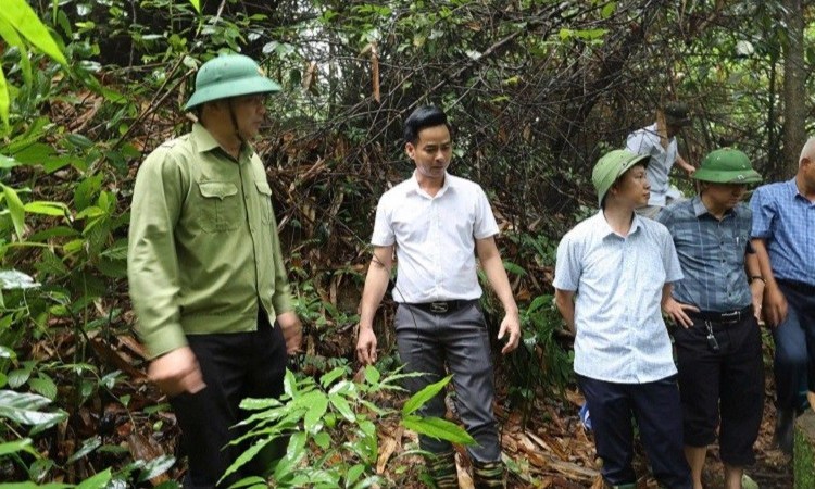 Chủ động phương án di chuyển người dân bản Pú Chả khỏi khu vực nguy hiểm