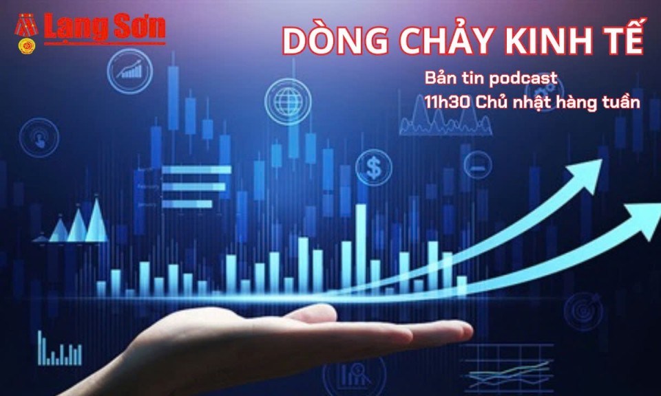 Bản tin Dòng chảy kinh tế số 59