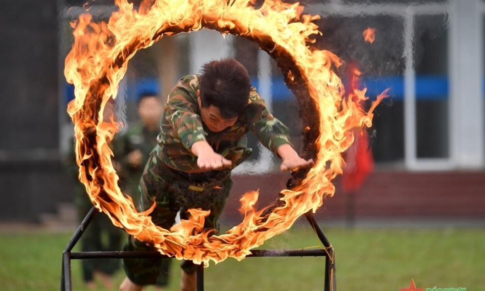 Đảng bộ Binh chủng Đặc công: Tập trung lãnh đạo xây dựng Binh chủng cách mạng, chính quy, đặc biệt tinh