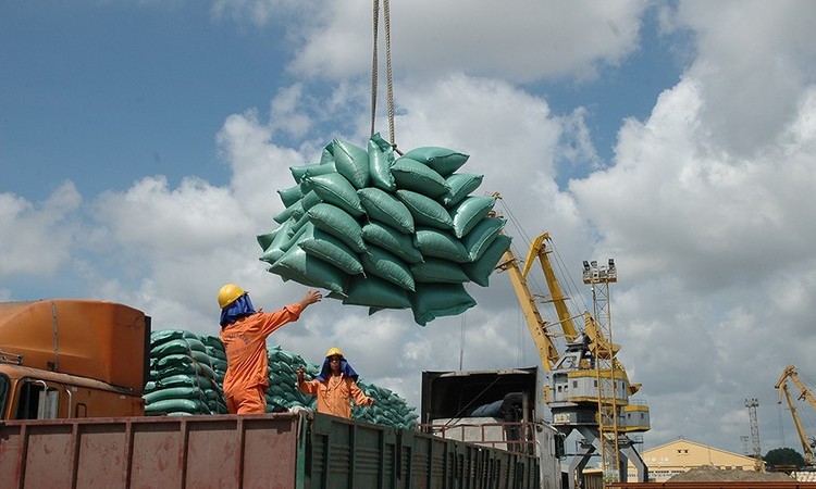 Tìm “đòn bẩy” cho xuất khẩu gạo