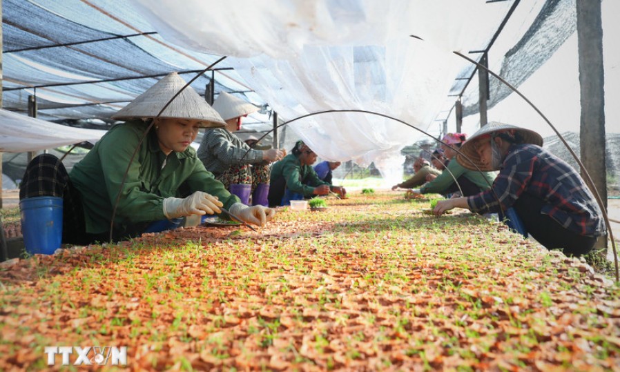 Thực hiện Nghị quyết 68: 'Không tô hồng' và phải 'đong, đếm được'