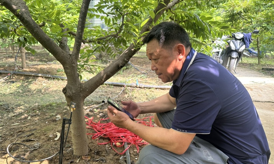 Về thôn thông minh Quán Thanh