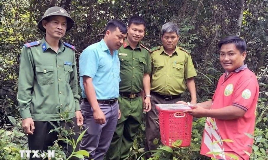 Kịp thời cứu hộ, thả động vật hoang dã về môi trường tự nhiên