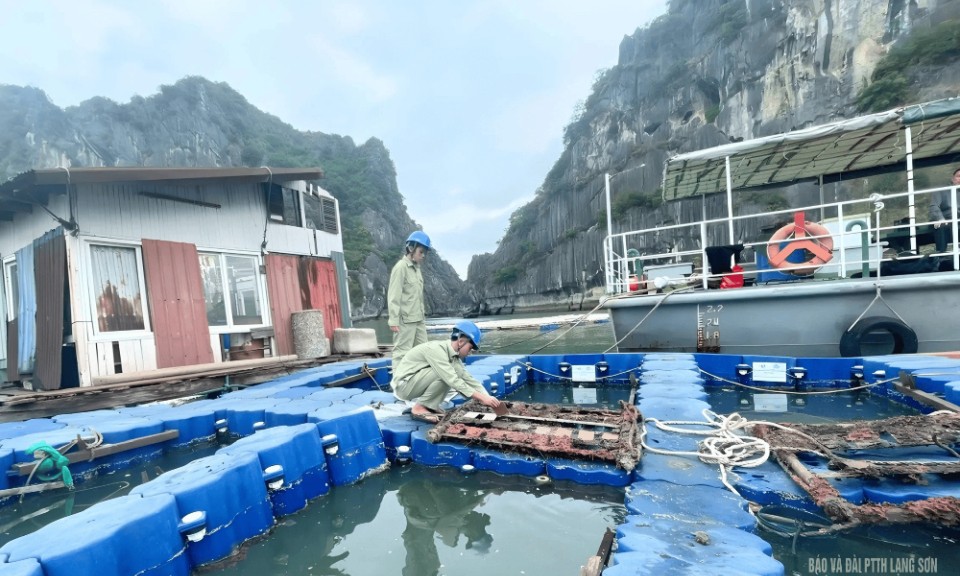 Học sinh Xứ Lạng với những ý tưởng sáng tạo bảo vệ môi trường